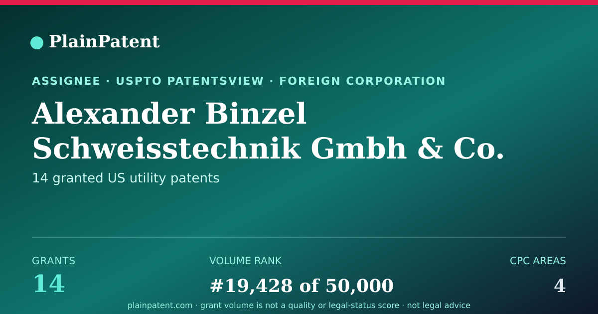 Shareable card for Alexander Binzel Schweisstechnik Gmbh & Co. KG Patent Portfolio
