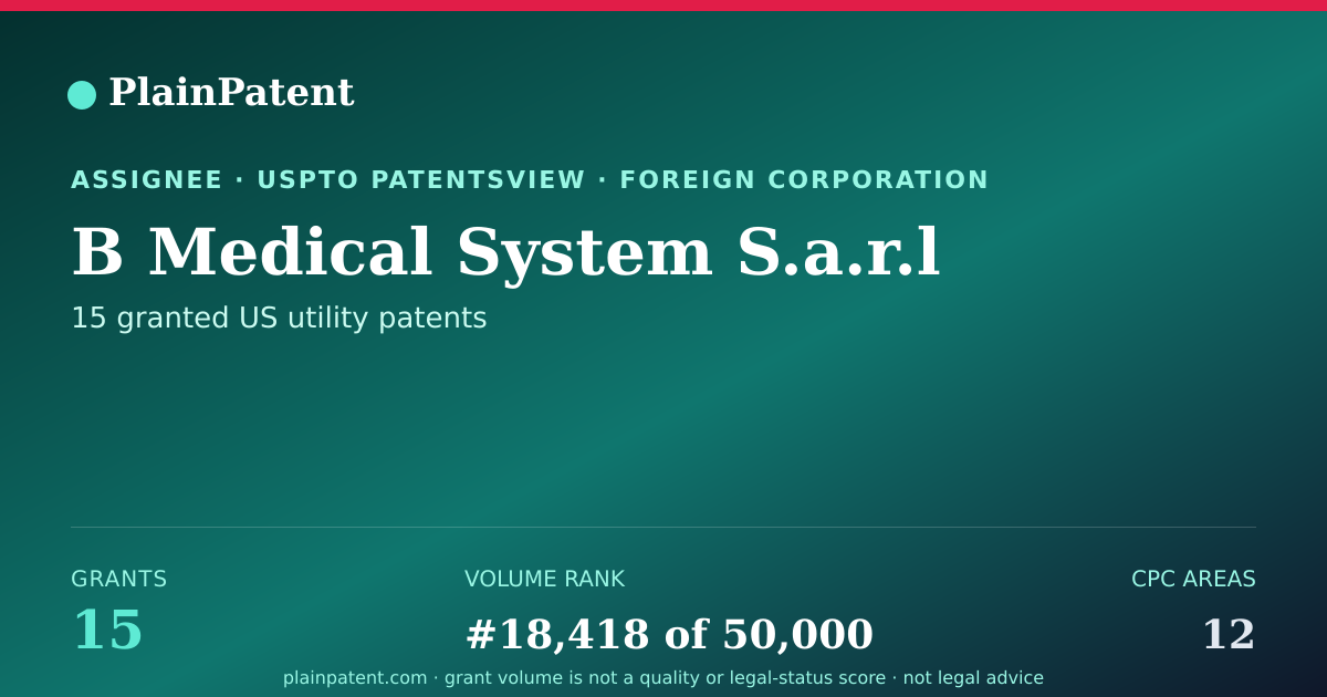 Shareable card for B Medical System S.a.r.l Patent Portfolio