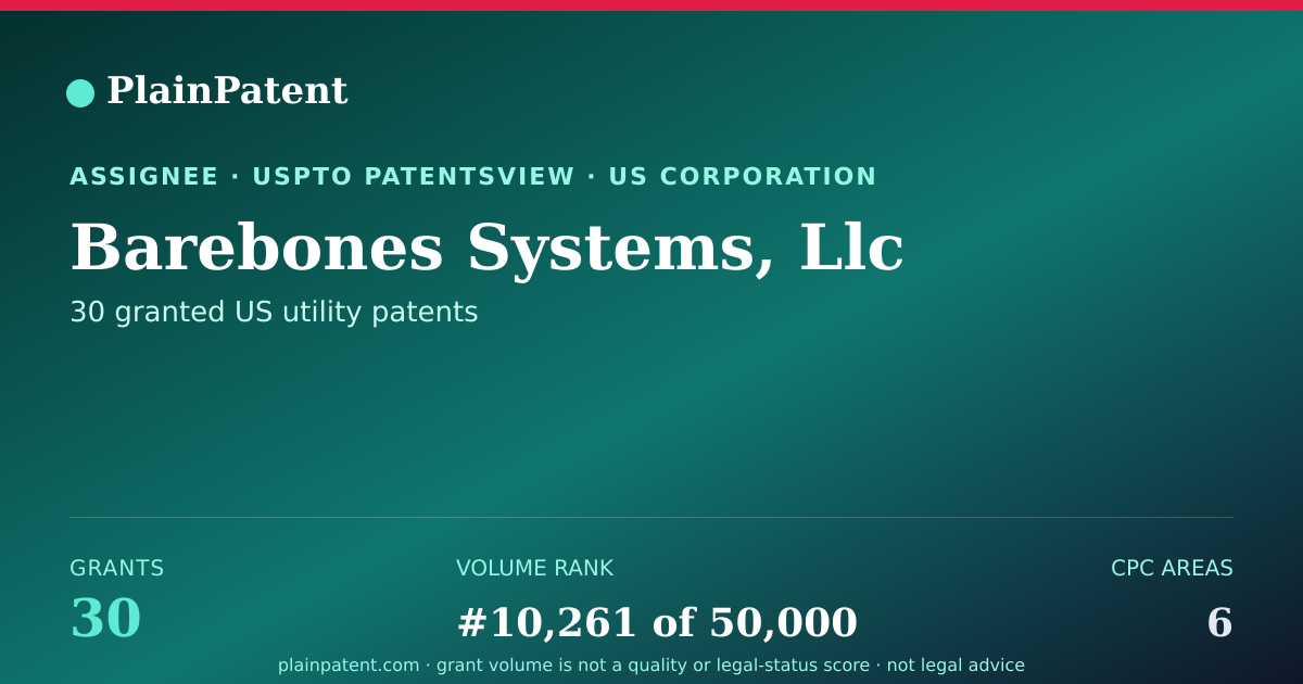 Shareable card for Barebones Systems, Llc Patent Portfolio