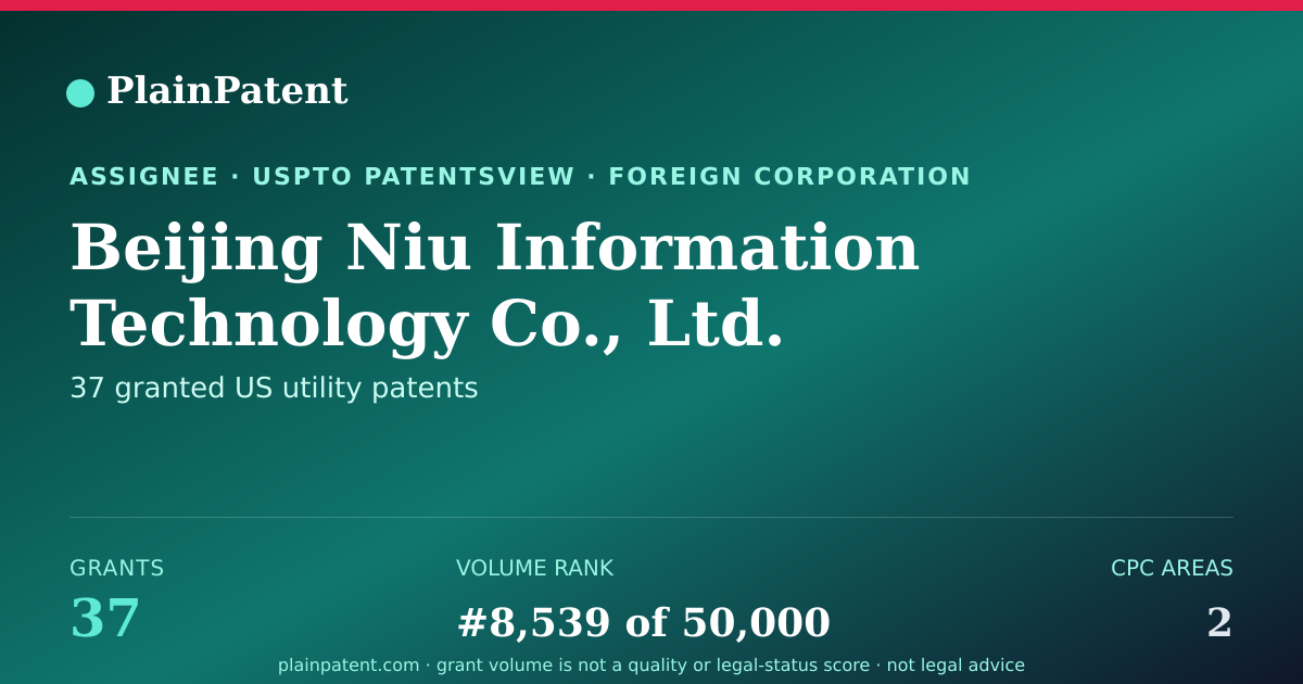 Shareable card for Beijing Niu Information Technology Co., Ltd. Patent Portfolio