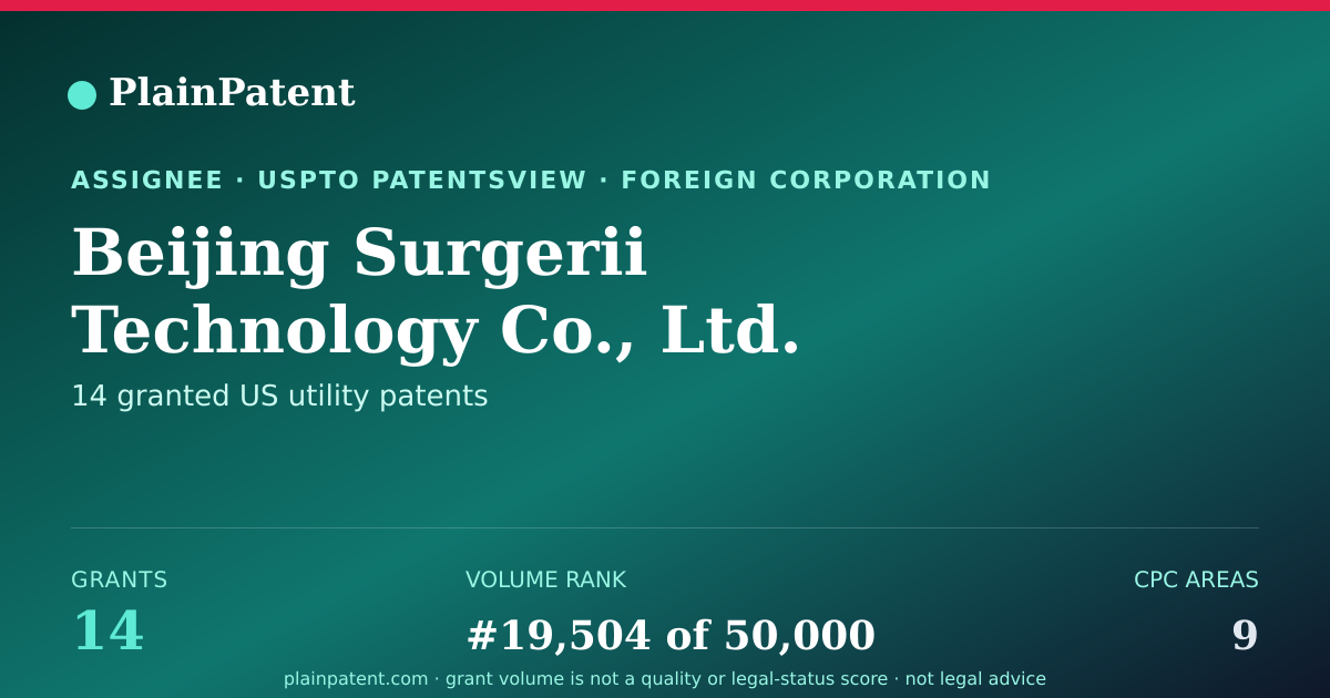 Shareable card for Beijing Surgerii Technology Co., Ltd. Patent Portfolio