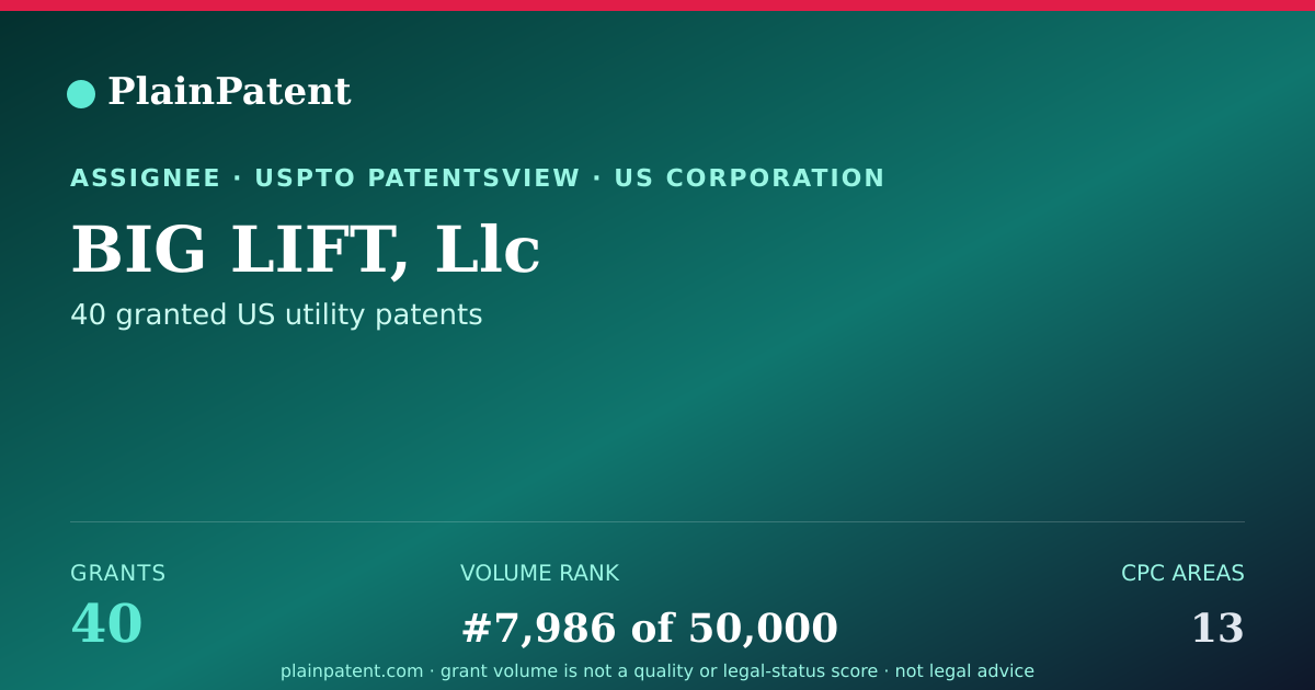 Shareable card for BIG LIFT, Llc Patent Portfolio