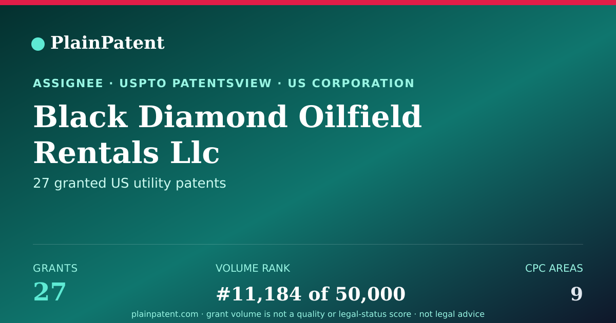 Shareable card for Black Diamond Oilfield Rentals Llc Patent Portfolio