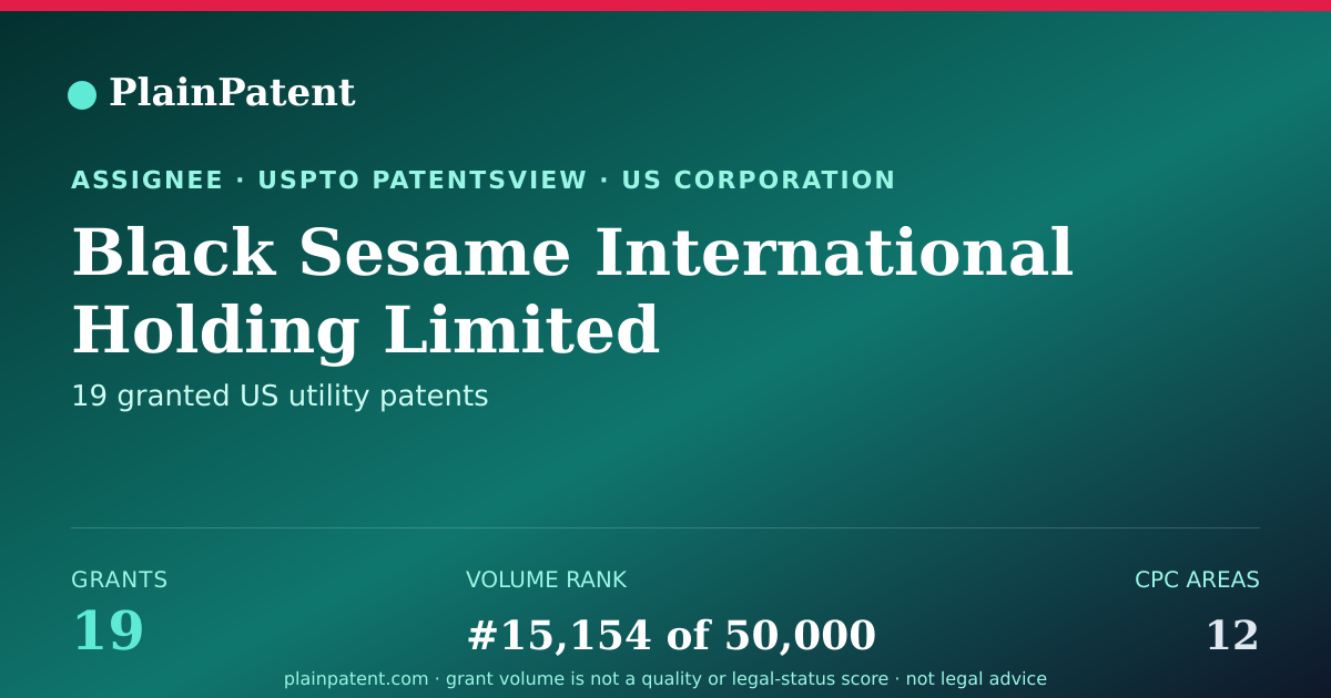 Shareable card for Black Sesame International Holding Limited Patent Portfolio