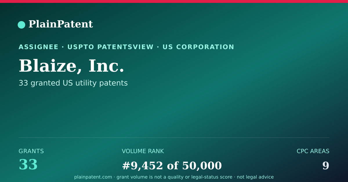 Shareable card for Blaize, Inc. Patent Portfolio