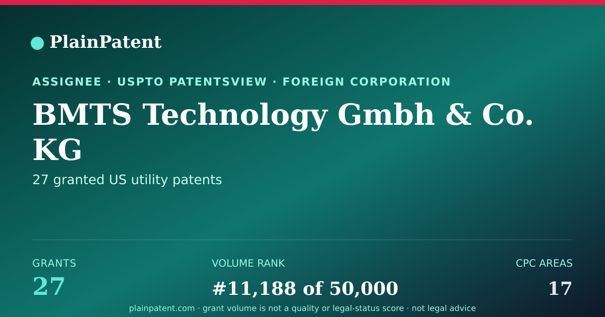 Shareable card for BMTS Technology Gmbh & Co. KG Patent Portfolio