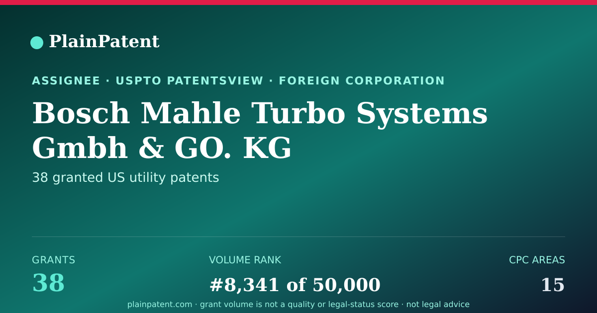 Shareable card for Bosch Mahle Turbo Systems Gmbh & GO. KG Patent Portfolio