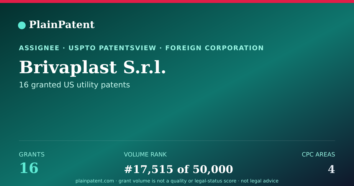 Shareable card for Brivaplast S.r.l. Patent Portfolio