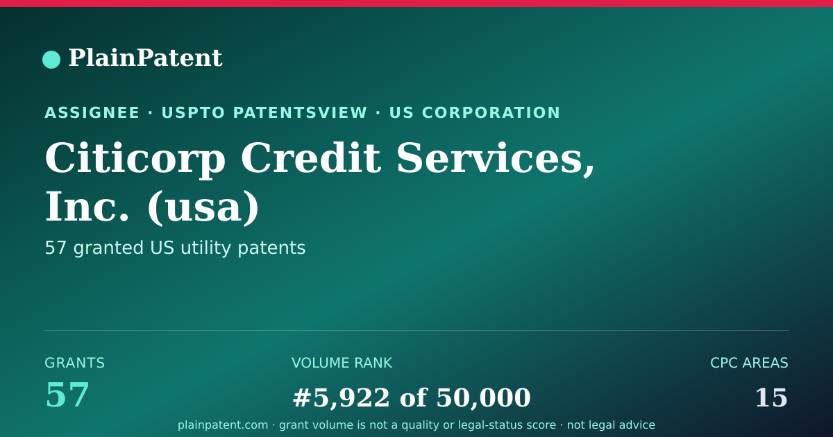 Shareable card for Citicorp Credit Services, Inc. (usa) Patent Portfolio