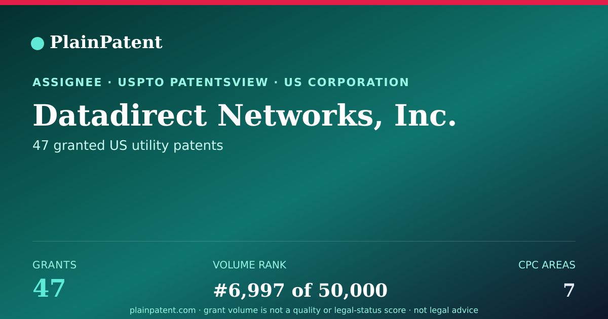 Shareable card for Datadirect Networks, Inc. Patent Portfolio