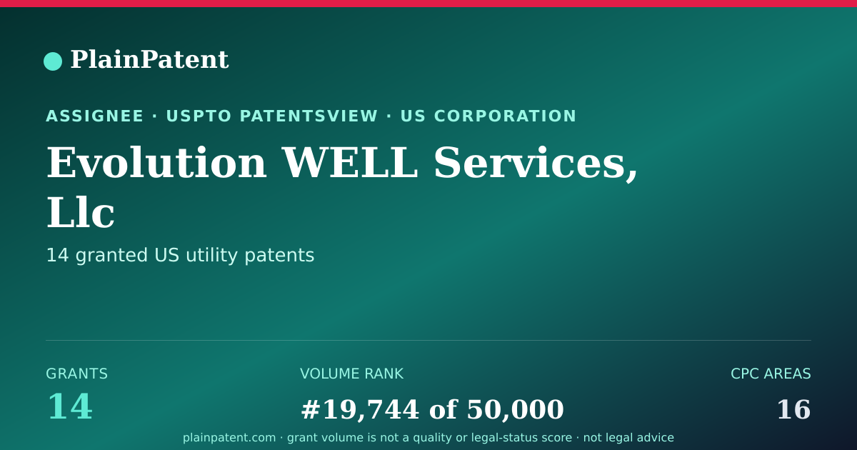 Shareable card for Evolution WELL Services, Llc Patent Portfolio