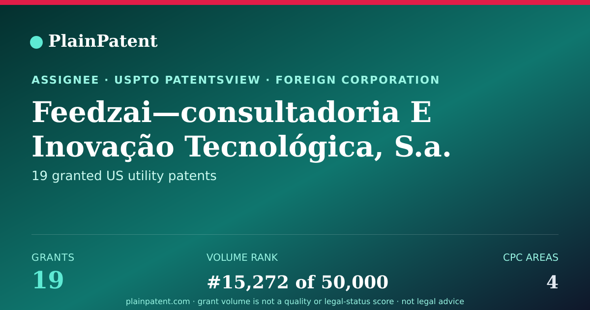 Shareable card for Feedzai—consultadoria E Inovação Tecnológica, S.a. Patent Portfolio