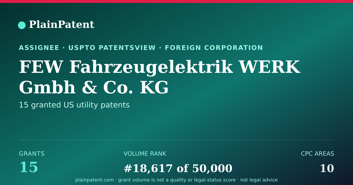 Shareable card for FEW Fahrzeugelektrik WERK Gmbh & Co. KG Patent Portfolio