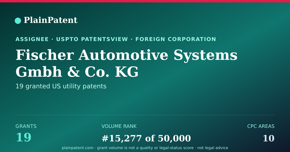Shareable card for Fischer Automotive Systems Gmbh & Co. KG Patent Portfolio
