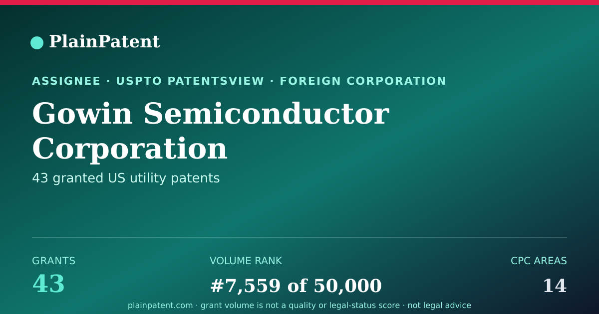 Shareable card for Gowin Semiconductor Corporation Patent Portfolio