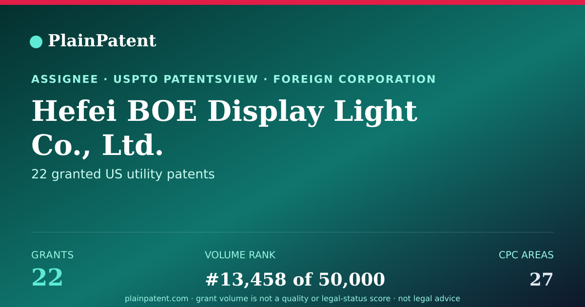 Shareable card for Hefei BOE Display Light Co., Ltd. Patent Portfolio
