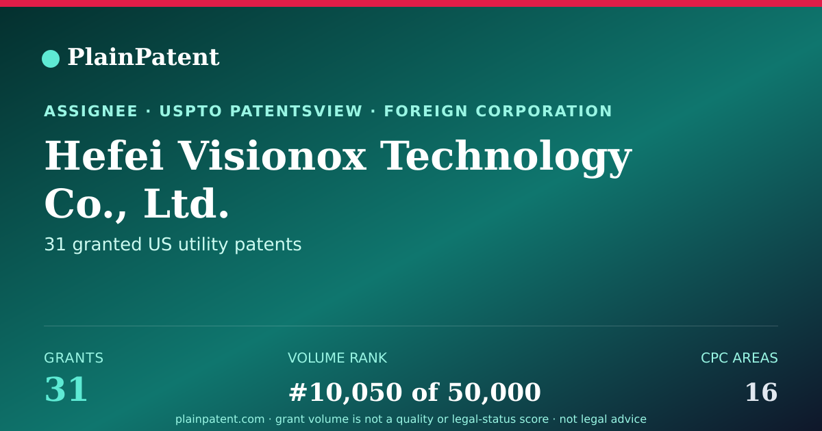 Shareable card for Hefei Visionox Technology Co., Ltd. Patent Portfolio