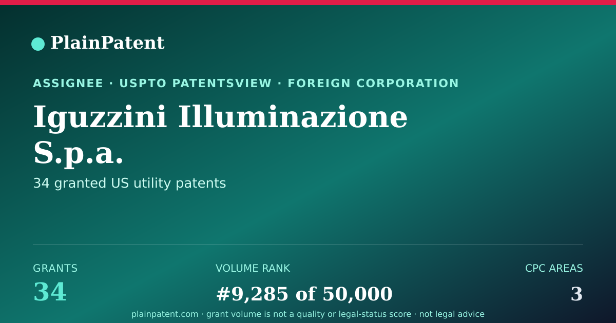 Shareable card for Iguzzini Illuminazione S.p.a. Patent Portfolio