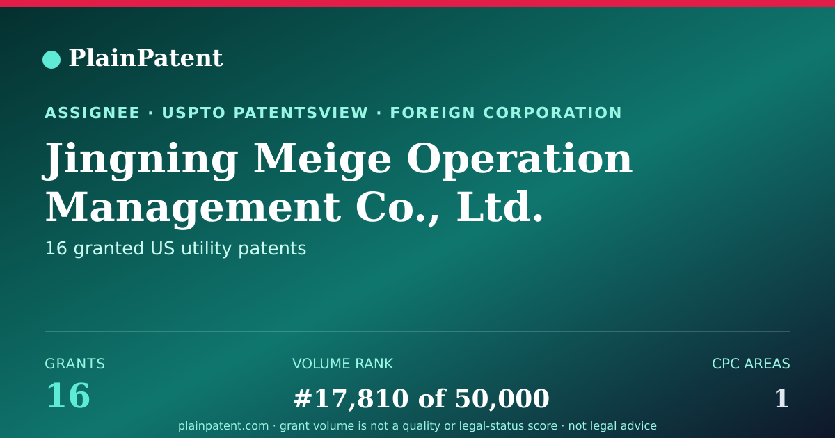 Shareable card for Jingning Meige Operation Management Co., Ltd. Patent Portfolio