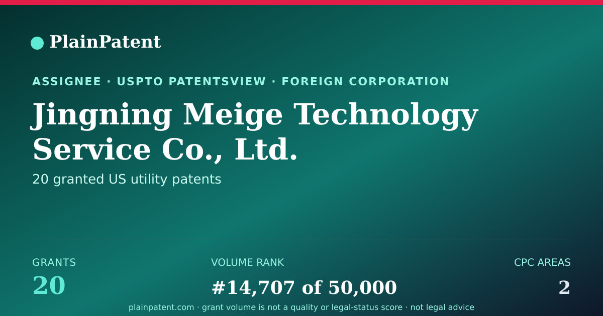 Shareable card for Jingning Meige Technology Service Co., Ltd. Patent Portfolio