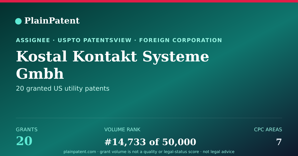 Shareable card for Kostal Kontakt Systeme Gmbh Patent Portfolio