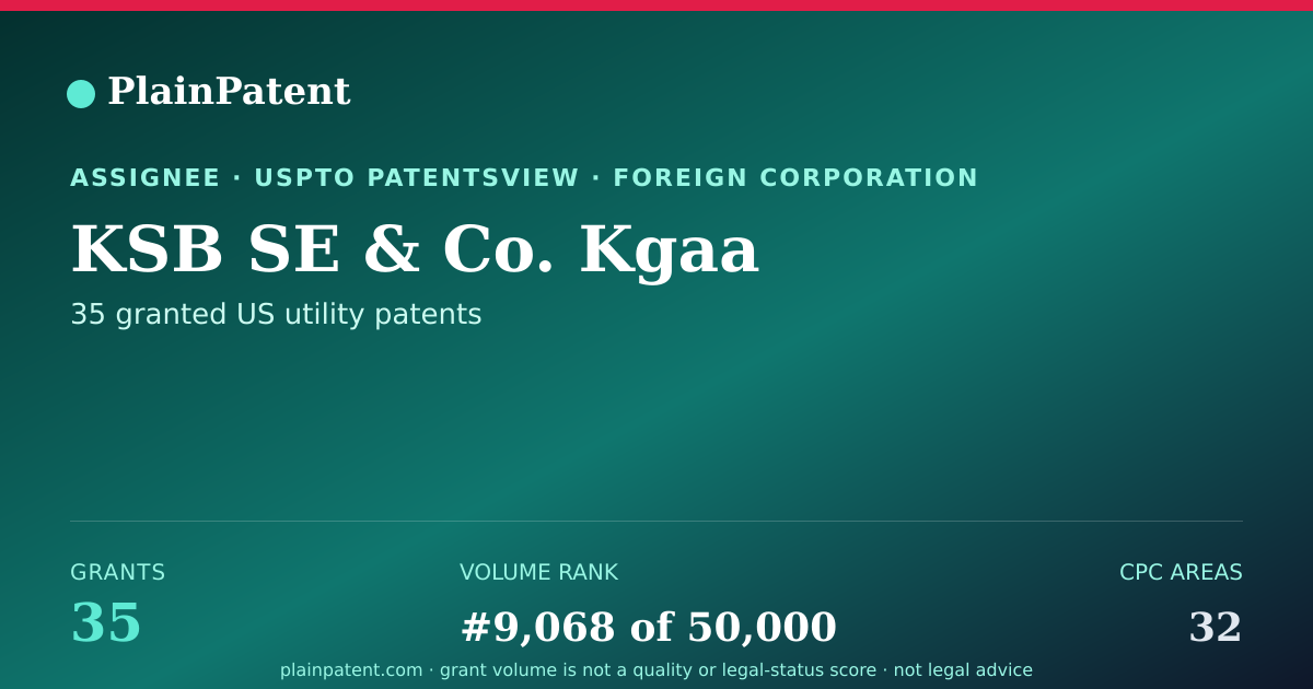 Shareable card for KSB SE & Co. Kgaa Patent Portfolio