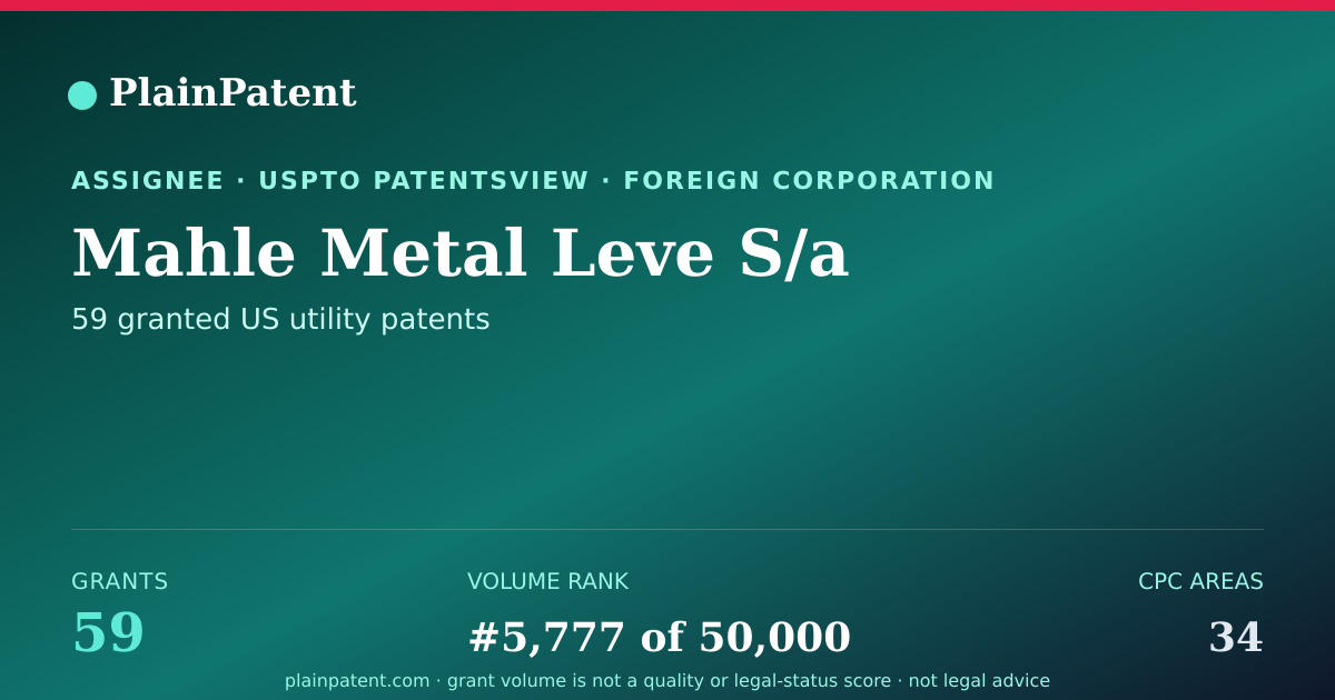 Shareable card for Mahle Metal Leve S/a Patent Portfolio