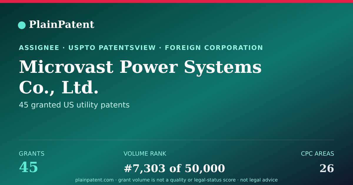 Shareable card for Microvast Power Systems Co., Ltd. Patent Portfolio