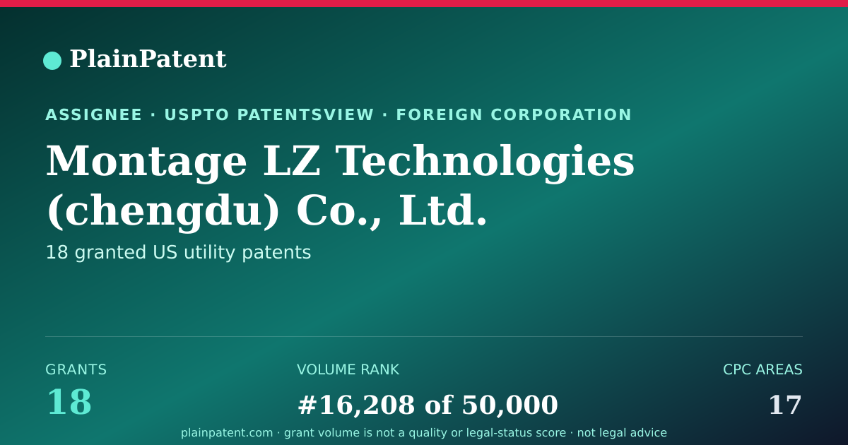 Shareable card for Montage LZ Technologies (chengdu) Co., Ltd. Patent Portfolio