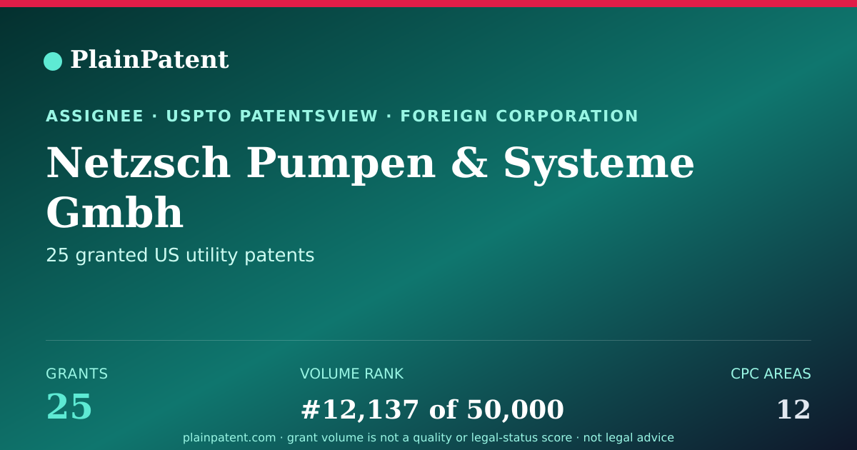Shareable card for Netzsch Pumpen & Systeme Gmbh Patent Portfolio
