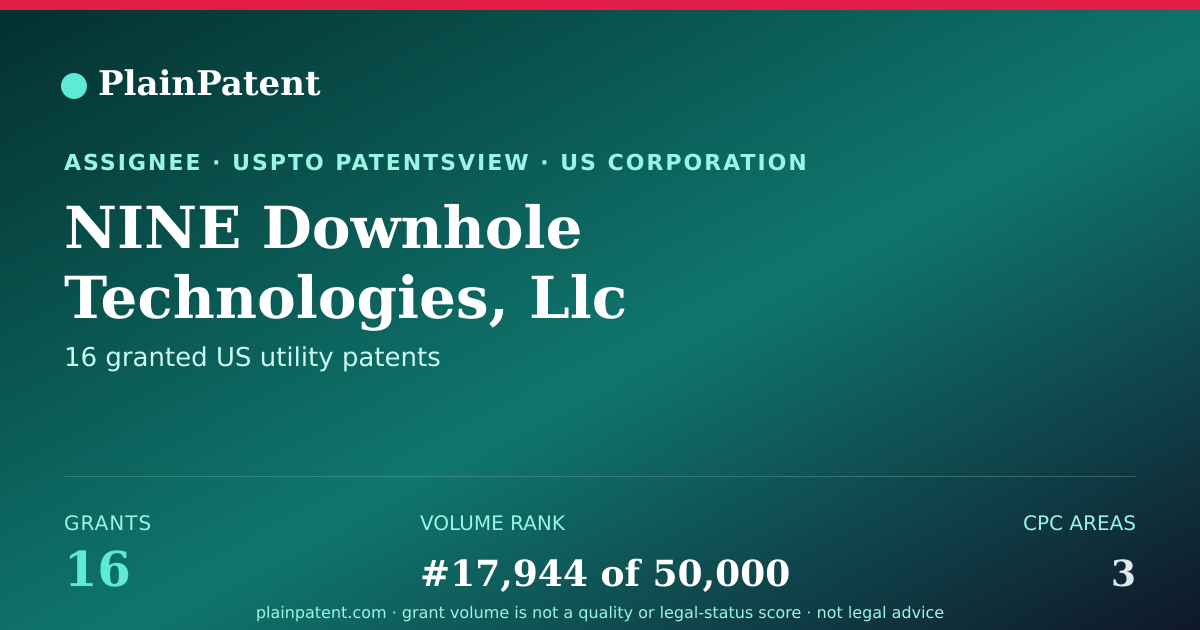Shareable card for NINE Downhole Technologies, Llc Patent Portfolio