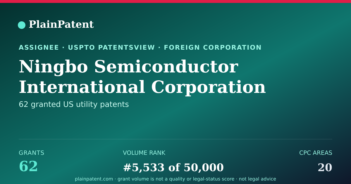 Shareable card for Ningbo Semiconductor International Corporation Patent Portfolio