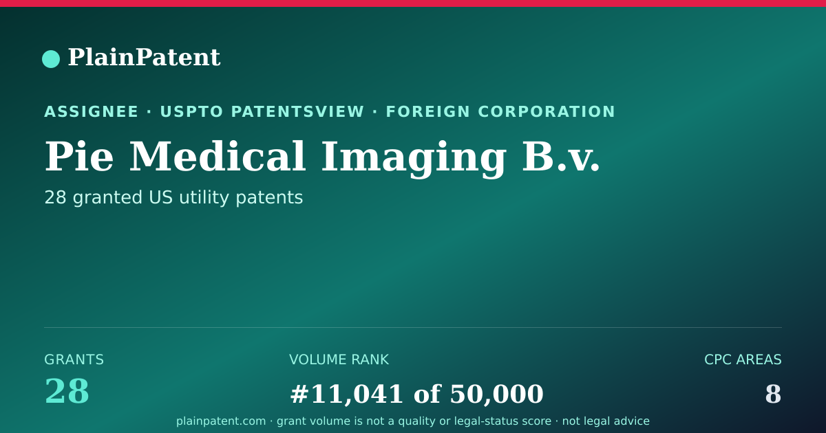 Shareable card for Pie Medical Imaging B.v. Patent Portfolio