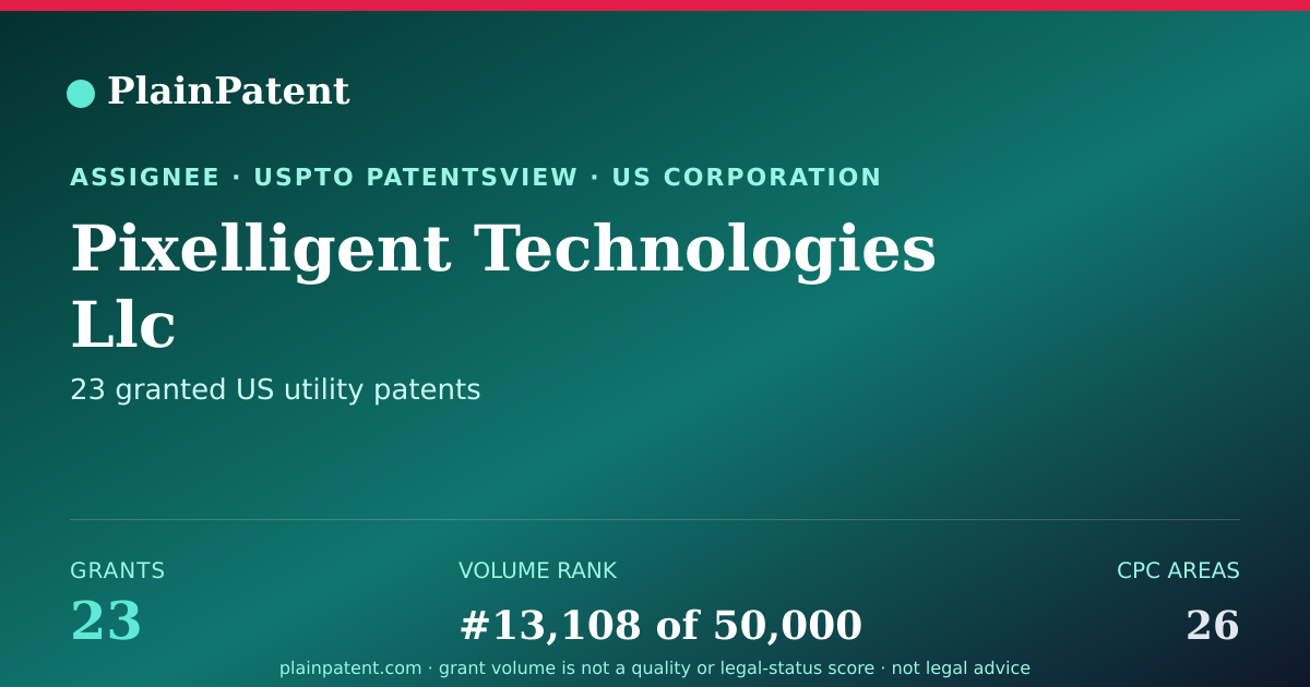 Shareable card for Pixelligent Technologies Llc Patent Portfolio