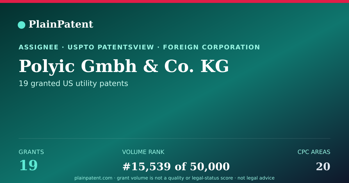 Shareable card for Polyic Gmbh & Co. KG Patent Portfolio