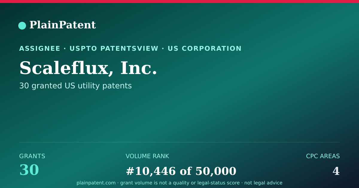 Shareable card for Scaleflux, Inc. Patent Portfolio