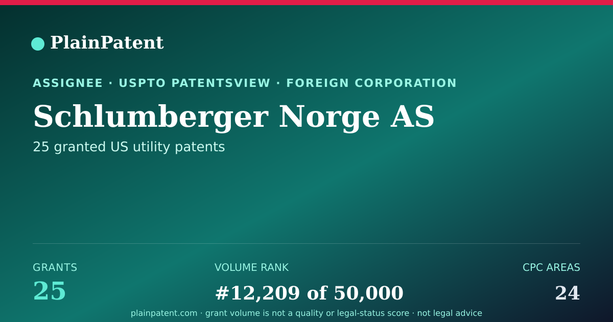 Shareable card for Schlumberger Norge AS Patent Portfolio