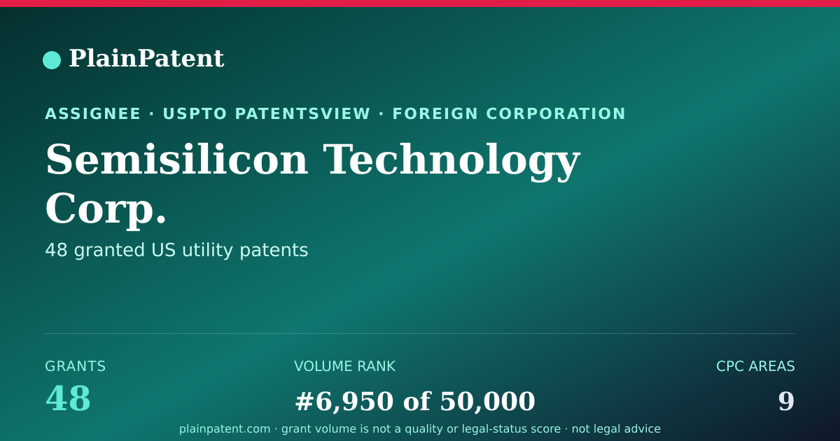 Shareable card for Semisilicon Technology Corp. Patent Portfolio
