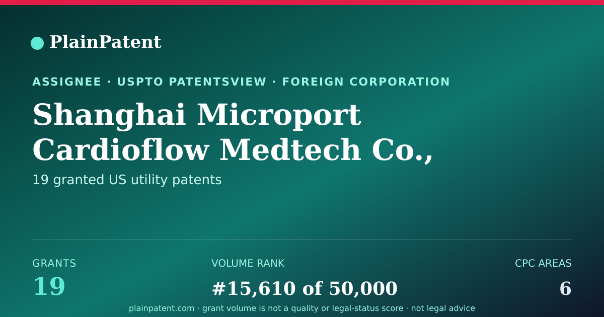 Shareable card for Shanghai Microport Cardioflow Medtech Co., Ltd. Patent Portfolio