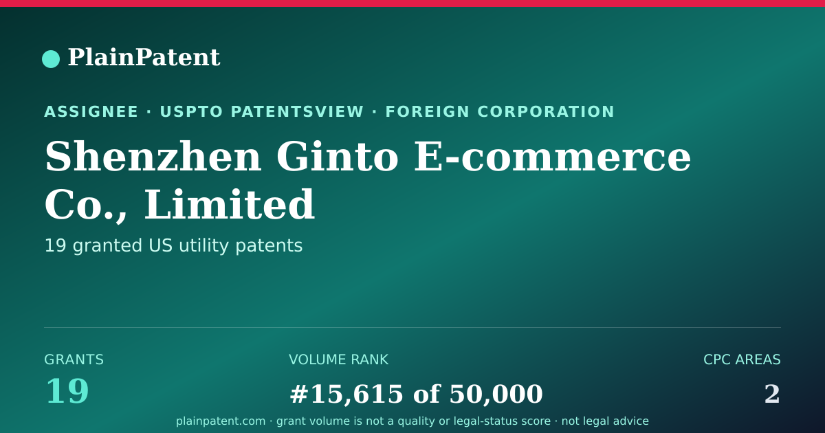 Shareable card for Shenzhen Ginto E-commerce Co., Limited Patent Portfolio