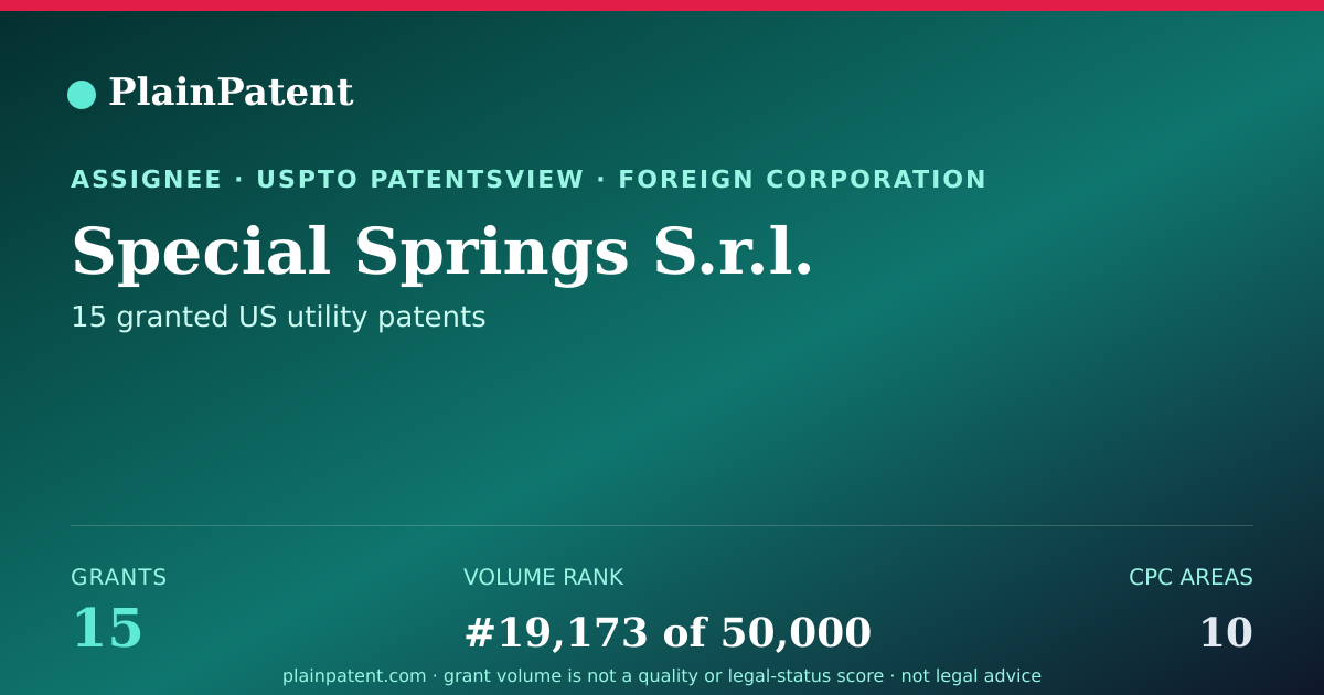 Shareable card for Special Springs S.r.l. Patent Portfolio