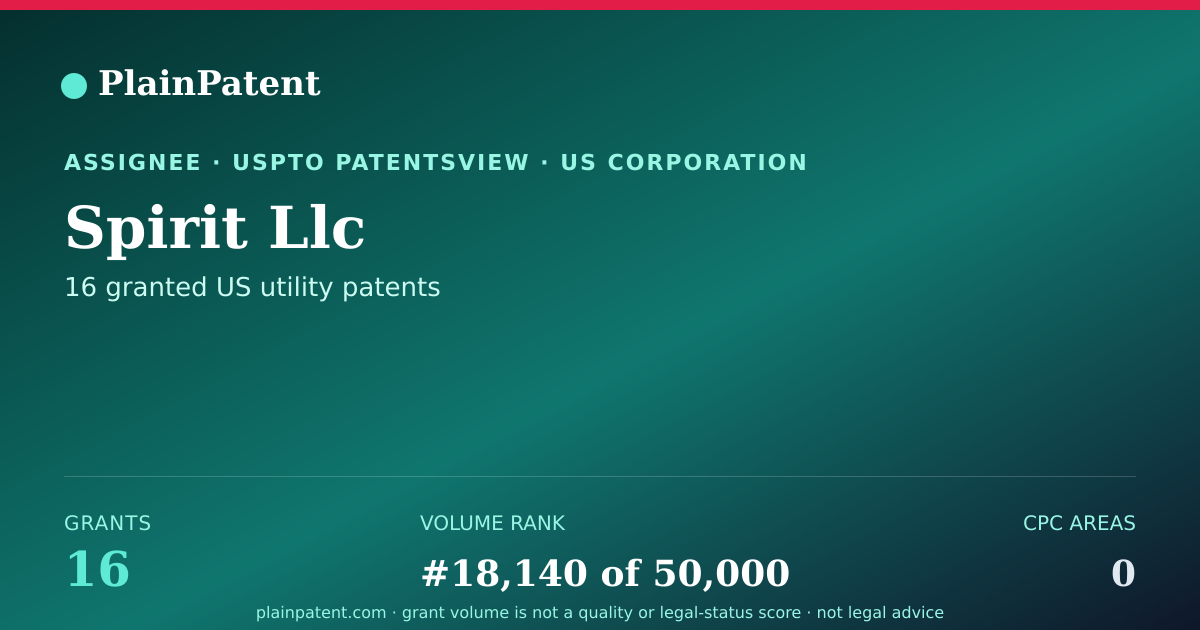 Shareable card for Spirit Llc Patent Portfolio