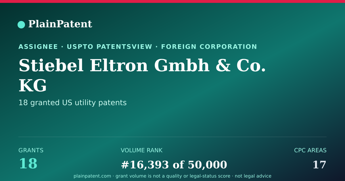 Shareable card for Stiebel Eltron Gmbh & Co. KG Patent Portfolio