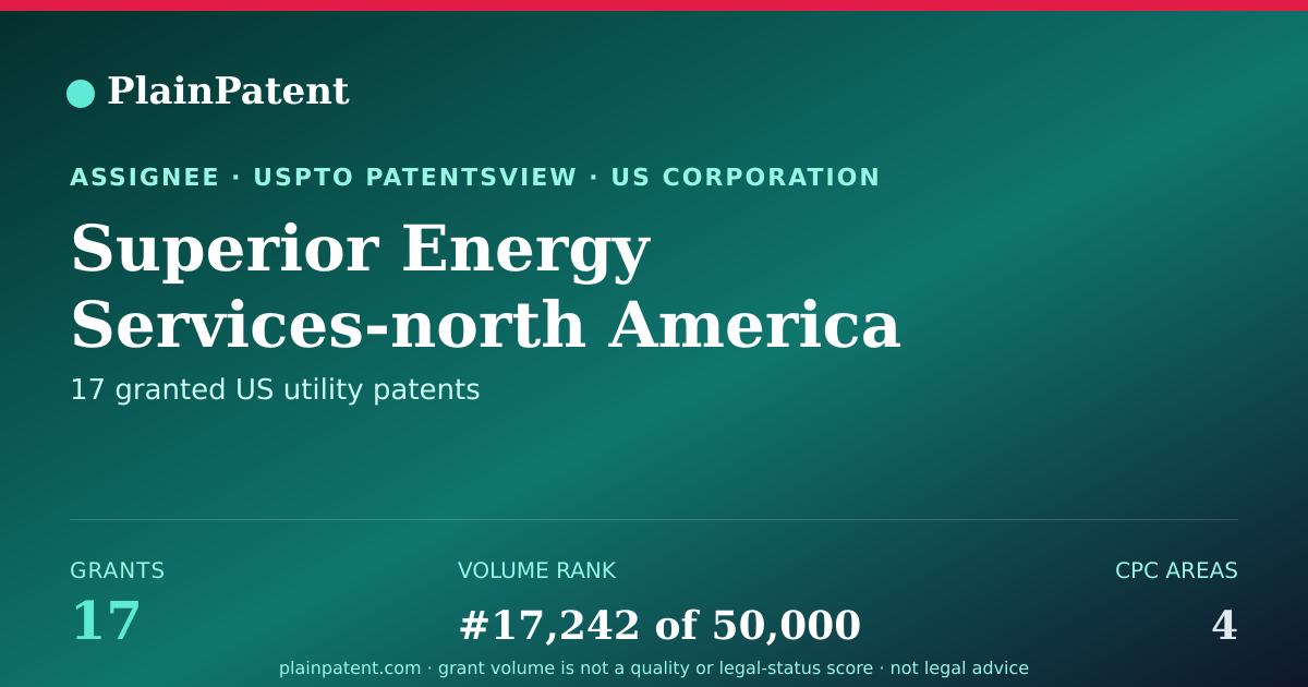 Shareable card for Superior Energy Services-north America Services, Inc Patent Portfolio