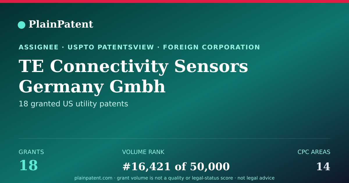 Shareable card for TE Connectivity Sensors Germany Gmbh Patent Portfolio