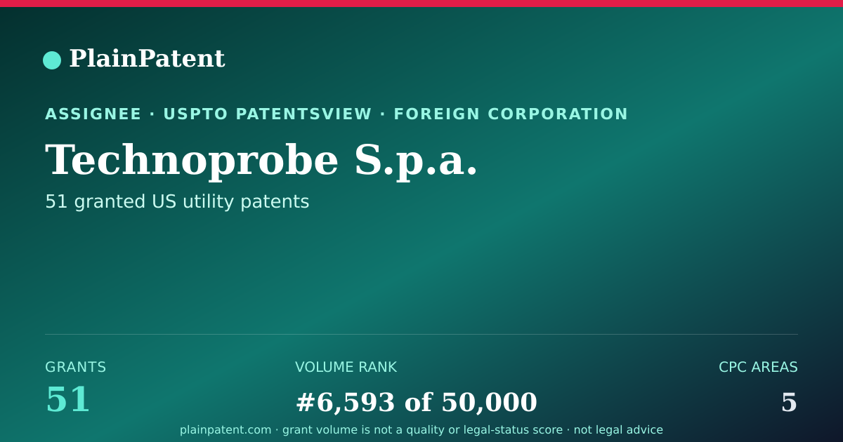 Shareable card for Technoprobe S.p.a. Patent Portfolio
