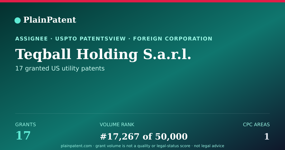 Shareable card for Teqball Holding S.a.r.l. Patent Portfolio