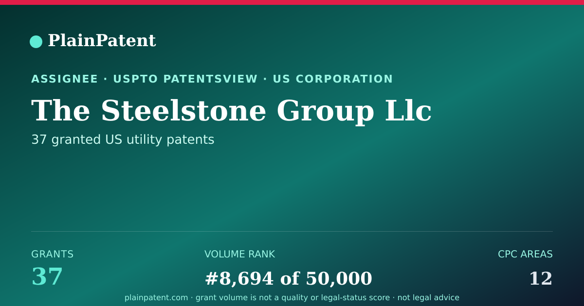 Shareable card for The Steelstone Group Llc Patent Portfolio