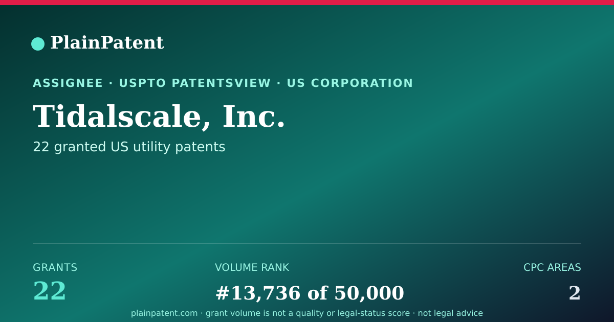 Shareable card for Tidalscale, Inc. Patent Portfolio