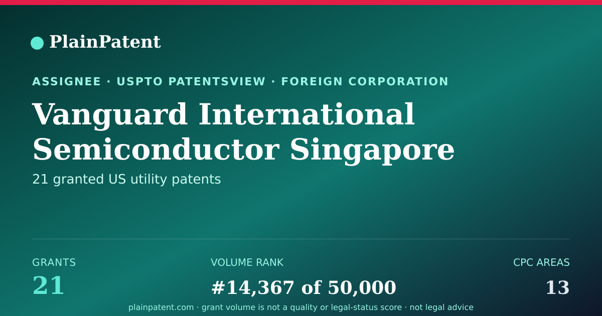Shareable card for Vanguard International Semiconductor Singapore PTE. Ltd. Patent Portfolio